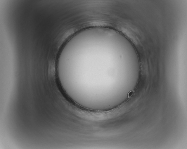 X0000111390015200907101156