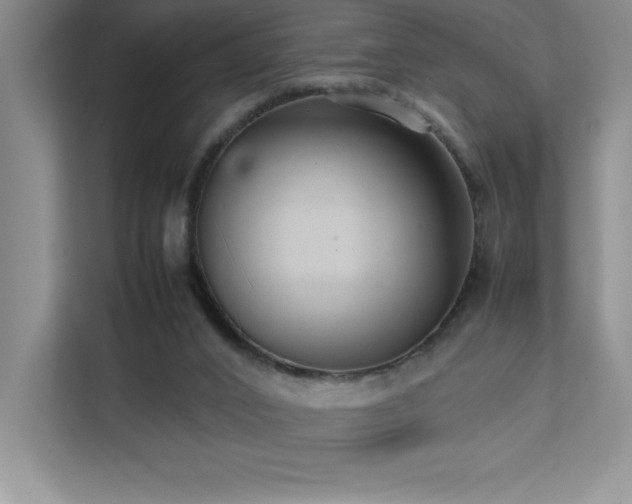 X0000111390016200907101156