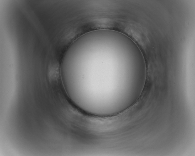 X0000111390017200907101156