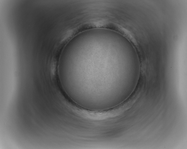 X0000111390018200907101156