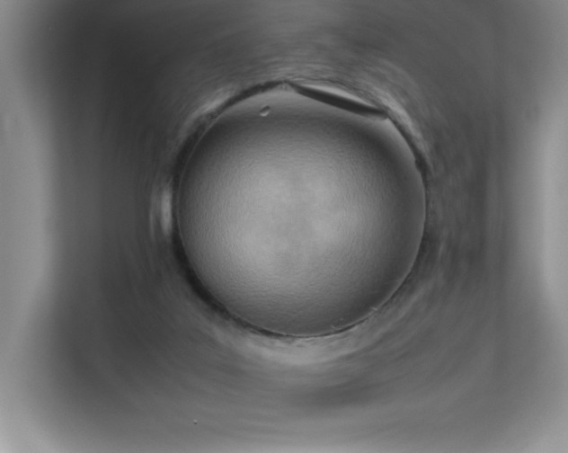 X0000111390019200907101156