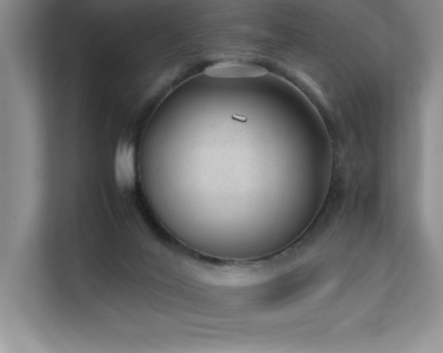 X0000111390020200907101155