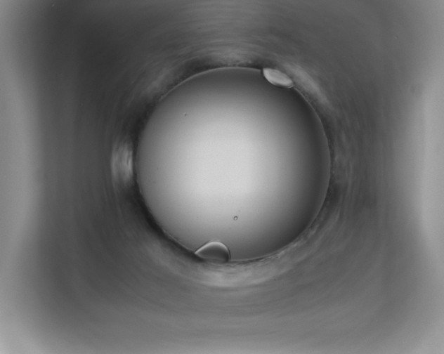 X0000111390021200907101155