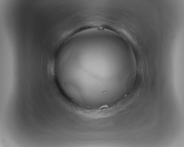 X0000111390023200907101155