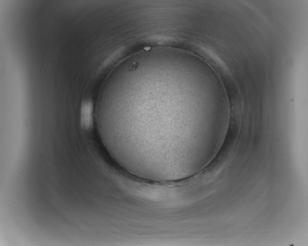 X0000111390024200907101155