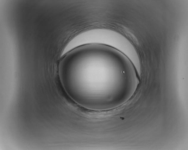 X0000111390025200907101155