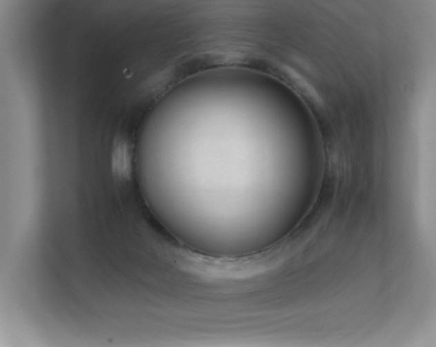 X0000111390026200907101155