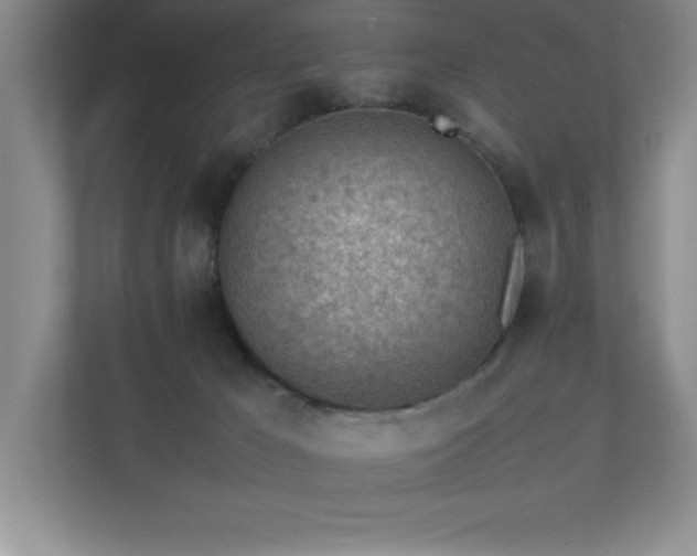 X0000111390029200907101155