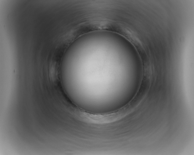 X0000111390030200907101155