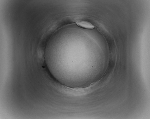 X0000111390031200907101155