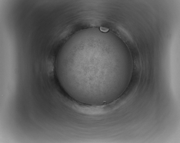 X0000111390032200907101155