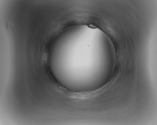 X0000111390033200907101155