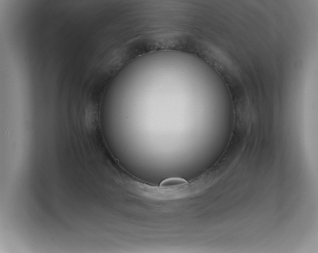 X0000111390034200907101155