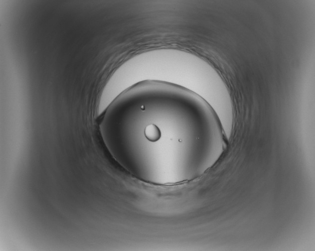 X0000111390035200907101155