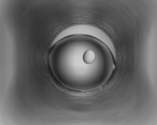 X0000111390036200907101155