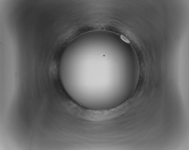 X0000111390037200907101155