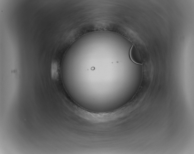 X0000111390038200907101155