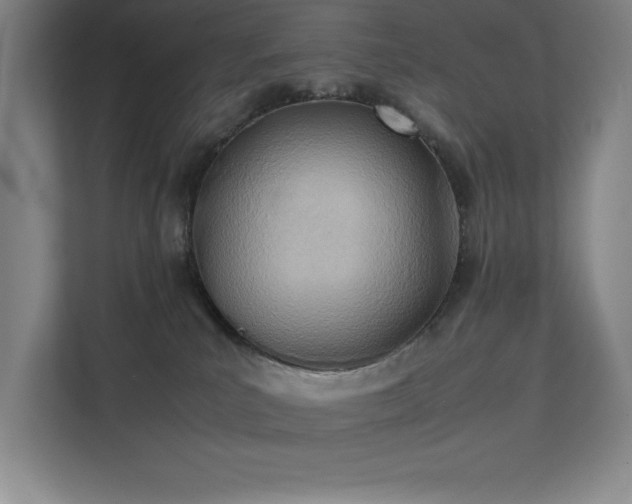 X0000111390039200907101155