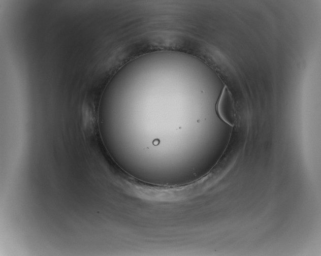 X0000111390040200907101155