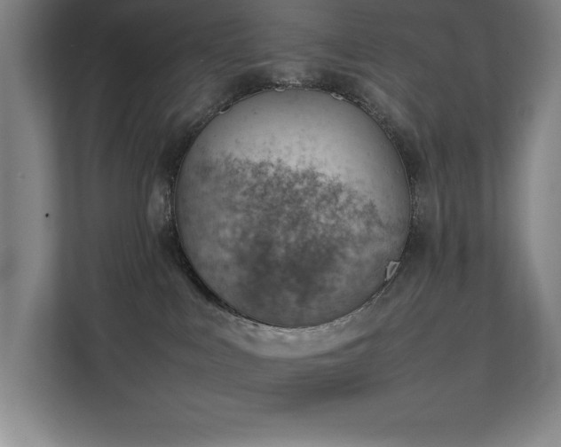 X0000111390043200907101155