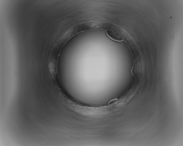 X0000111390044200907101155