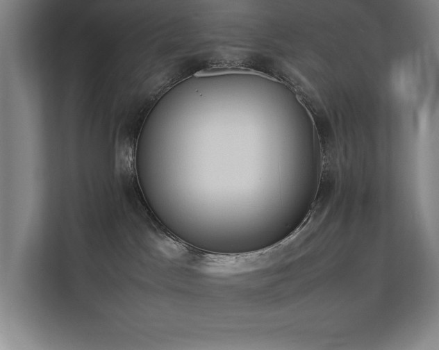 X0000111390045200907101155