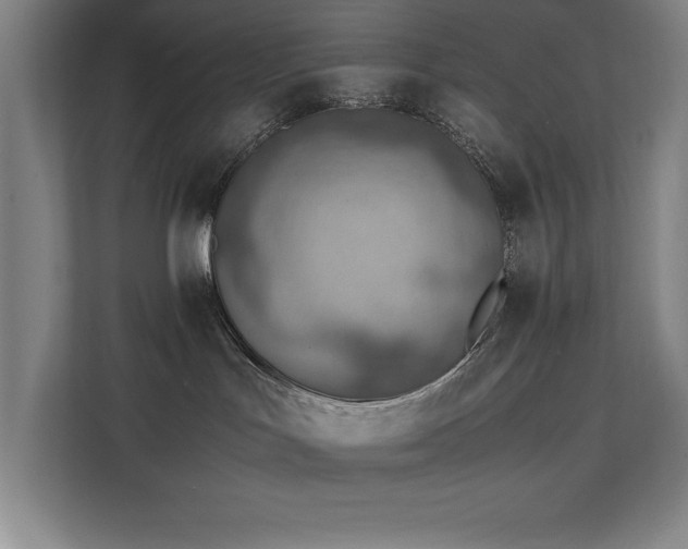 X0000111390047200907101155