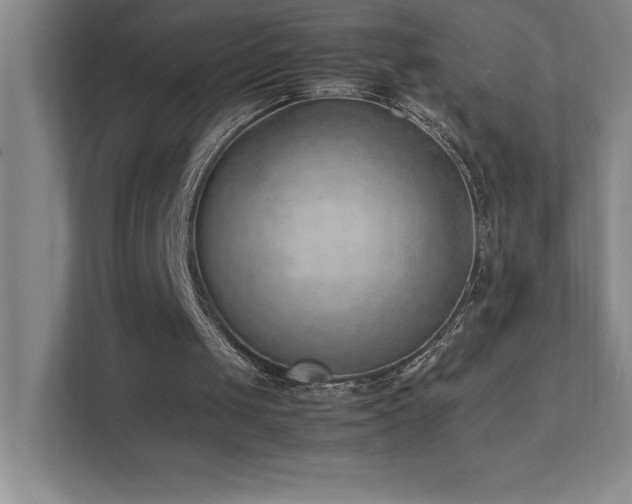 X0000111390049200907101155