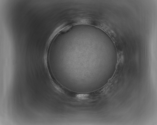 X0000111390051200907101155