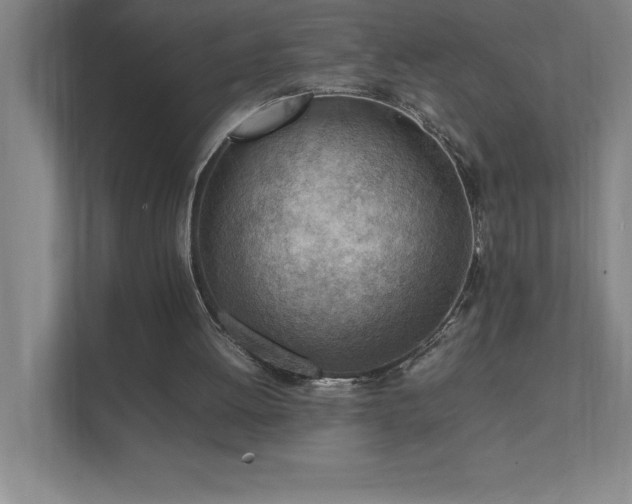 X0000111390052200907101155