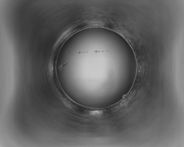 X0000111390053200907101155