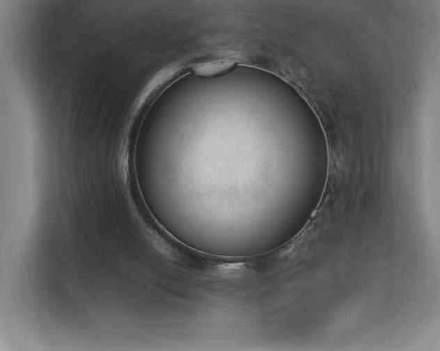 X0000111390054200907101155