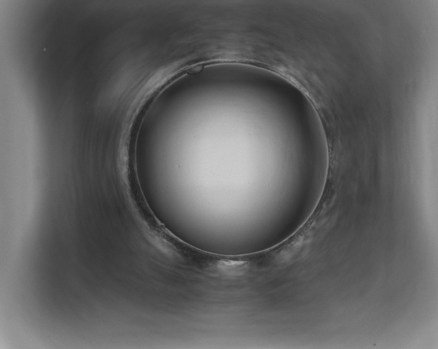 X0000111390055200907101155