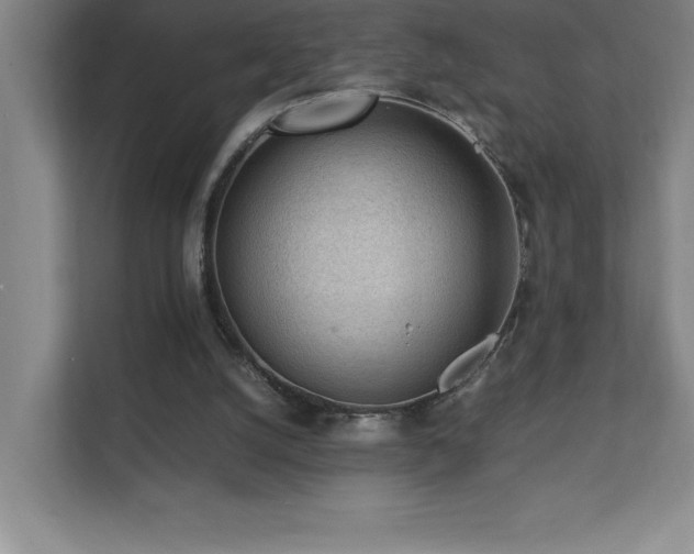 X0000111390056200907101155