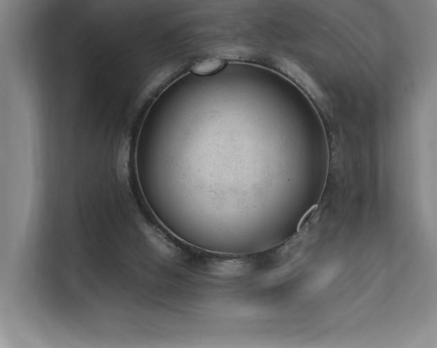 X0000111390058200907101155