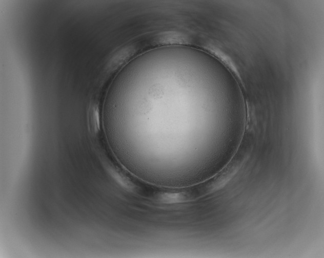 X0000111390061200907101155