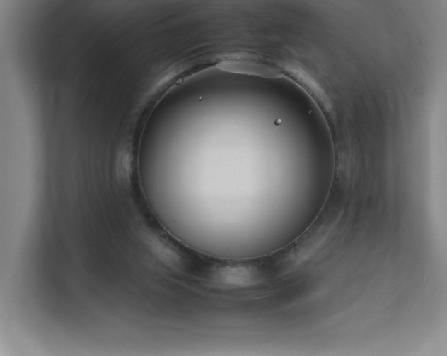 X0000111390063200907101155