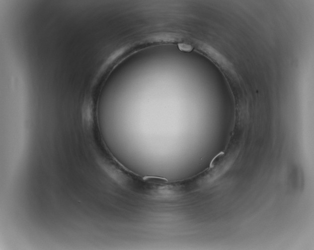 X0000111390064200907101155