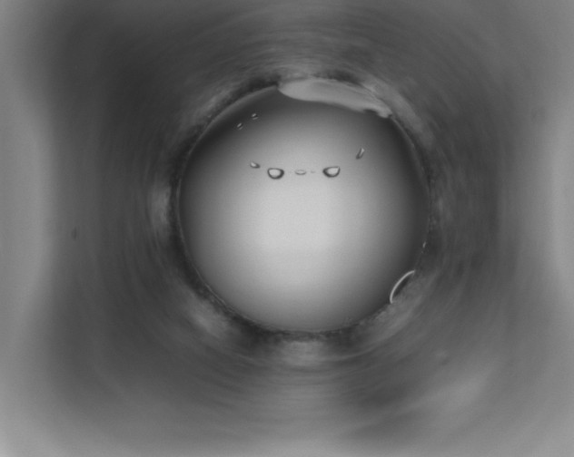 X0000111390066200907101155