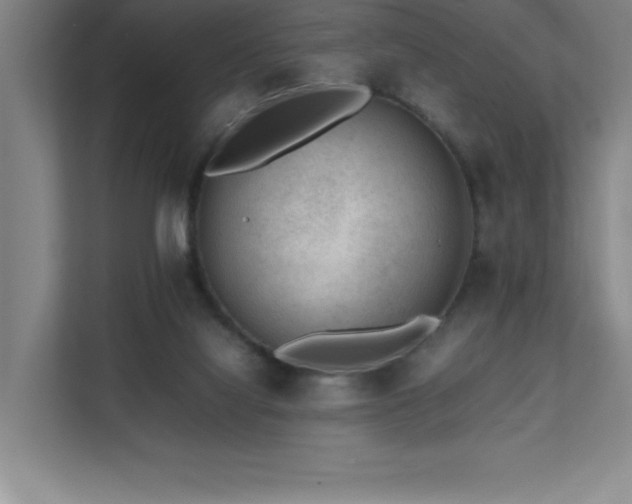 X0000111390068200907101155