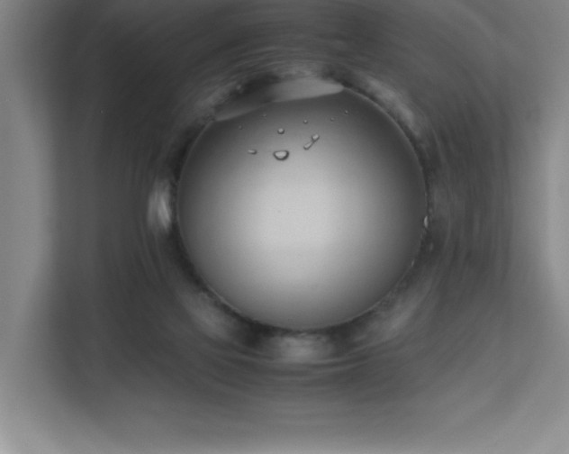 X0000111390069200907101155