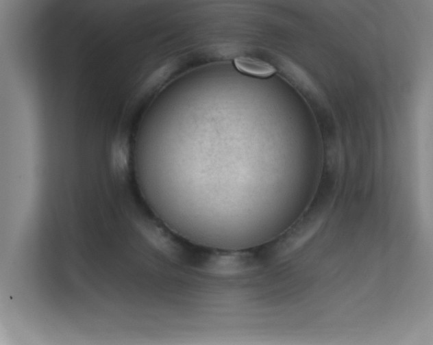 X0000111390072200907101155