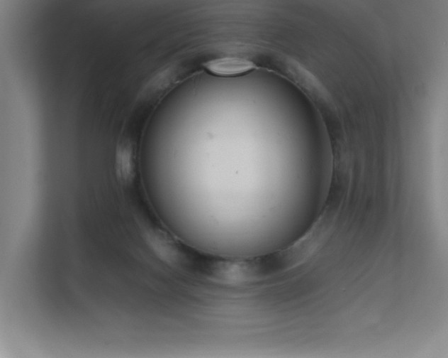 X0000111390074200907101155