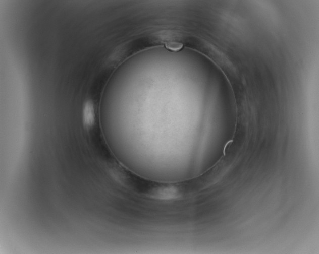 X0000111390075200907101155