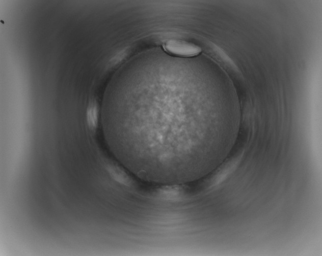 X0000111390076200907101155