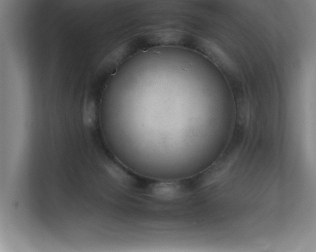 X0000111390077200907101155