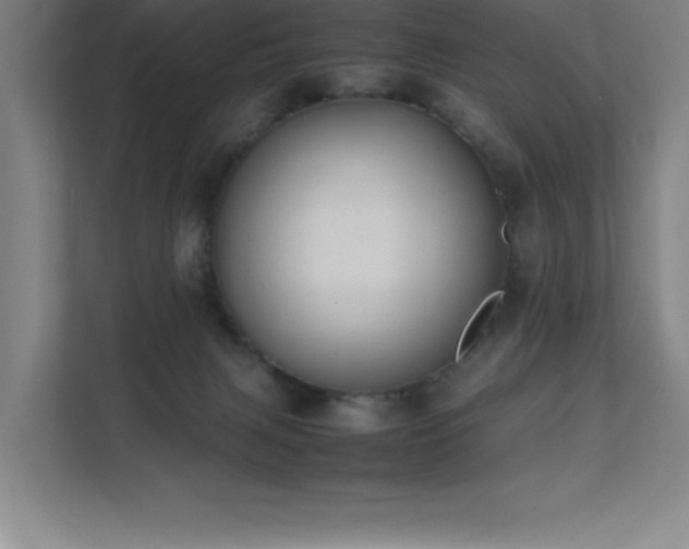 X0000111390079200907101155