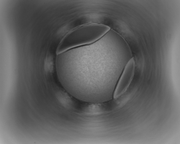 X0000111390080200907101155