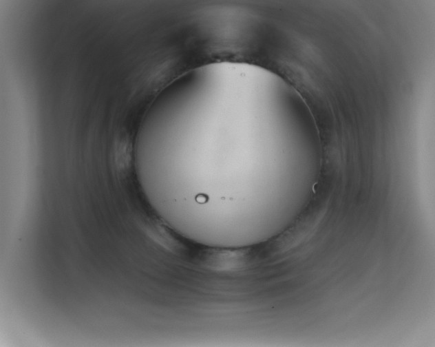 X0000111390081200907101155