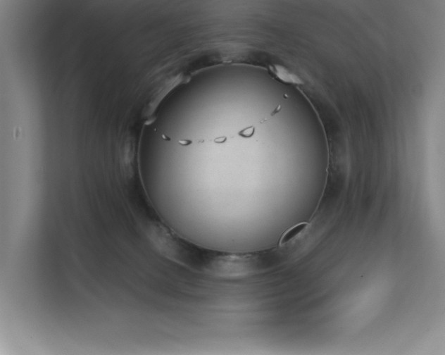 X0000111390082200907101155